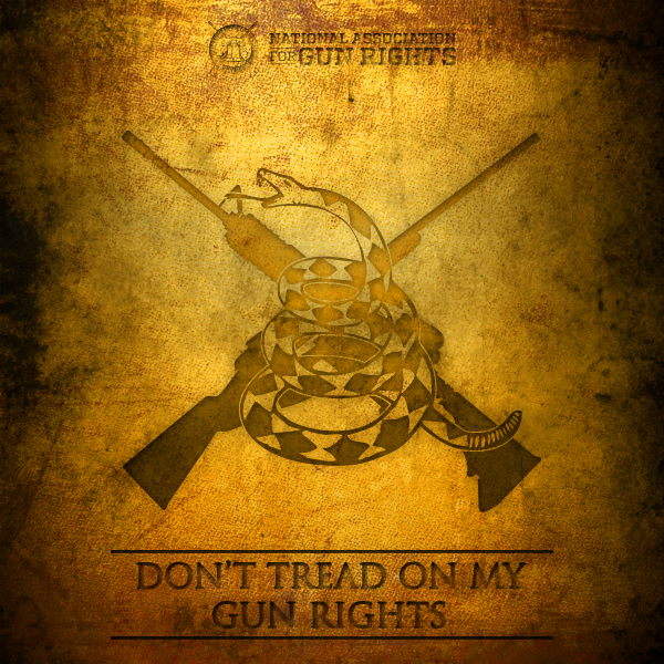 The Second Amendment couldn't be more clear.