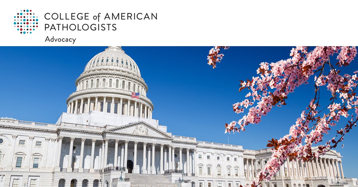 The CAP supports Senate efforts to stop Medicare pay cuts in 2023: capatholo.gy/3ToRVUq.