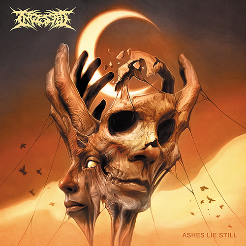 LootersRadar's tweet photo. π @Ingested's new album #AshesLieStill hits the Canadian π¨π¦ @billboardcharts
#33 Hard Music
#47 Current Digital Albums
#157 Top Current Albums
@MetalBlade https://t.co/5Cntzv2U48