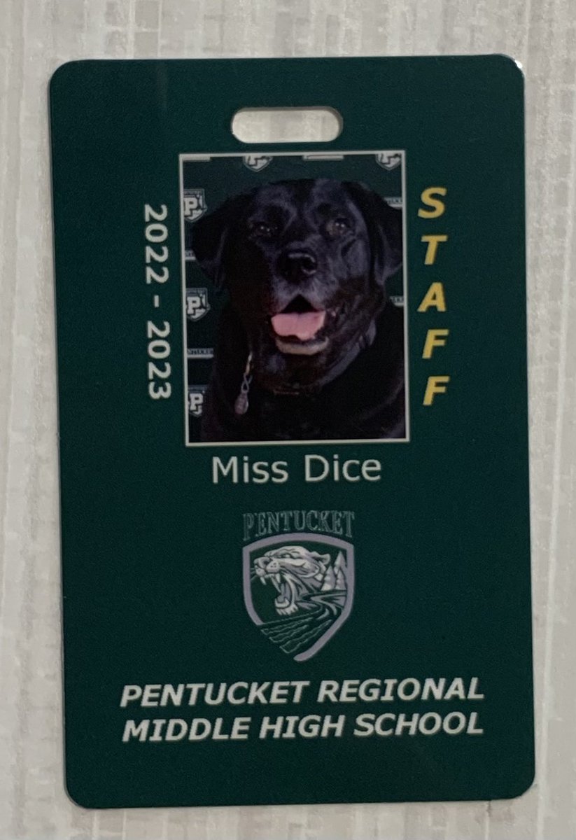 Dice the Dog tweet media