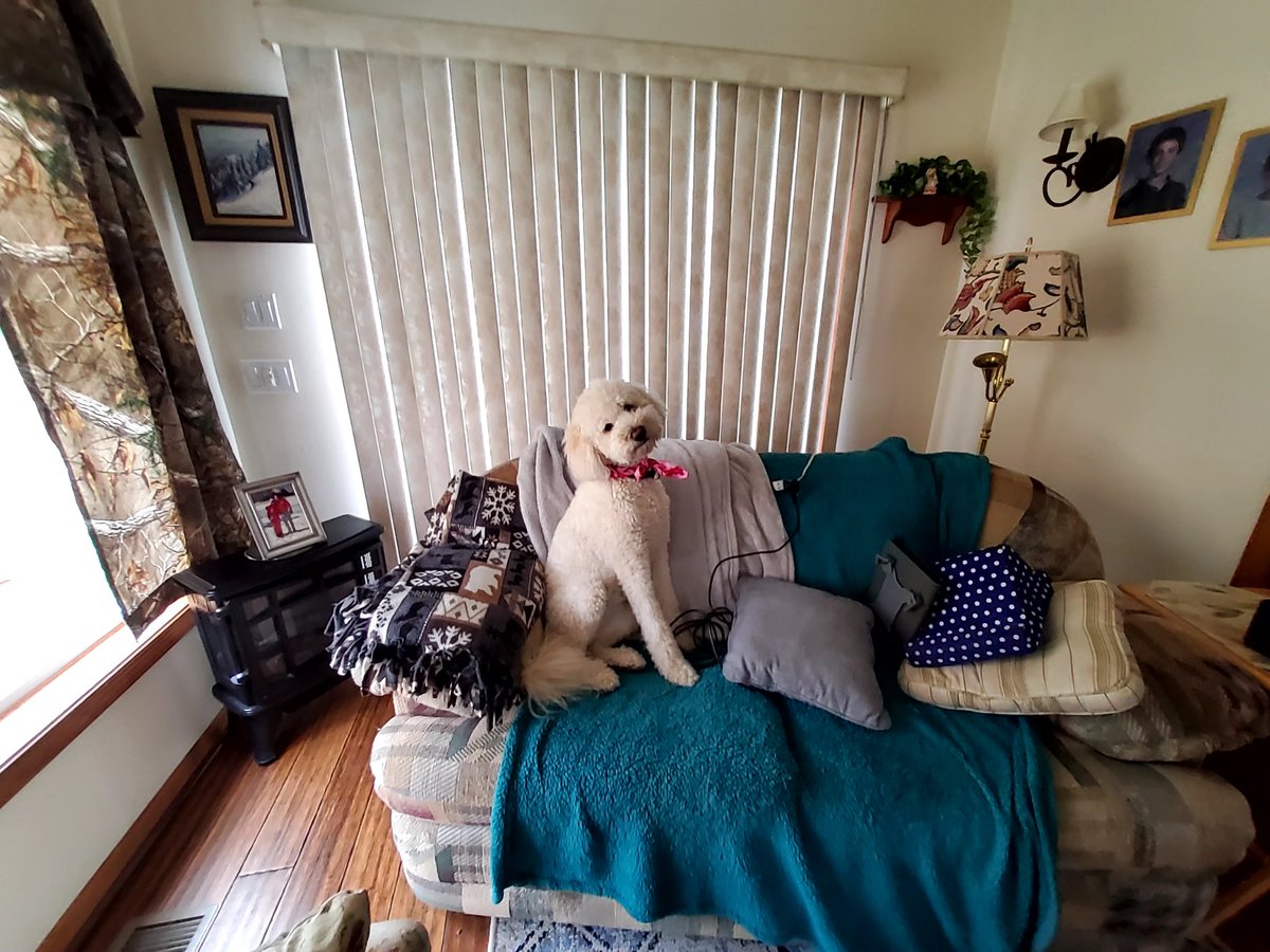 I'm so glad mom put a bandana on me...so when we ran in the woods and hiked...we saved some deers from hunters..sorry hunters,but they were young ones!