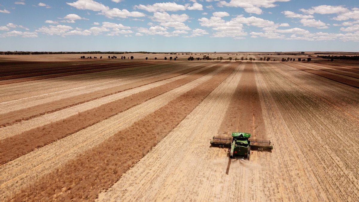 Nigel Routledge tweet media