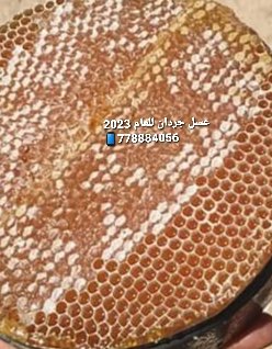 alhamad89's tweet photo. الكمية محدود لهذا العام عسل جردان اجود انوع عسل السدر في اليمن وقد تم فحصه في مختبرات دولية وعاليمة خالي من السكر بنسبة ٢% بخلاف الانواع الثاني الذي تصل فيها نسبة السكر مابين 25% الى 45% 
للطلب : 778884056--716171655 https://t.co/4ik0CP36vR