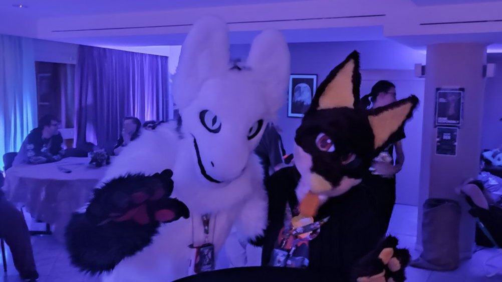 Vakama75G's tweet photo. More picture from @FluufffCon 
I still have a few more picture, one tweet of pictures a day 😺

#fursuit #fluufff #fluufffcon https://t.co/LNP2u2r3ze