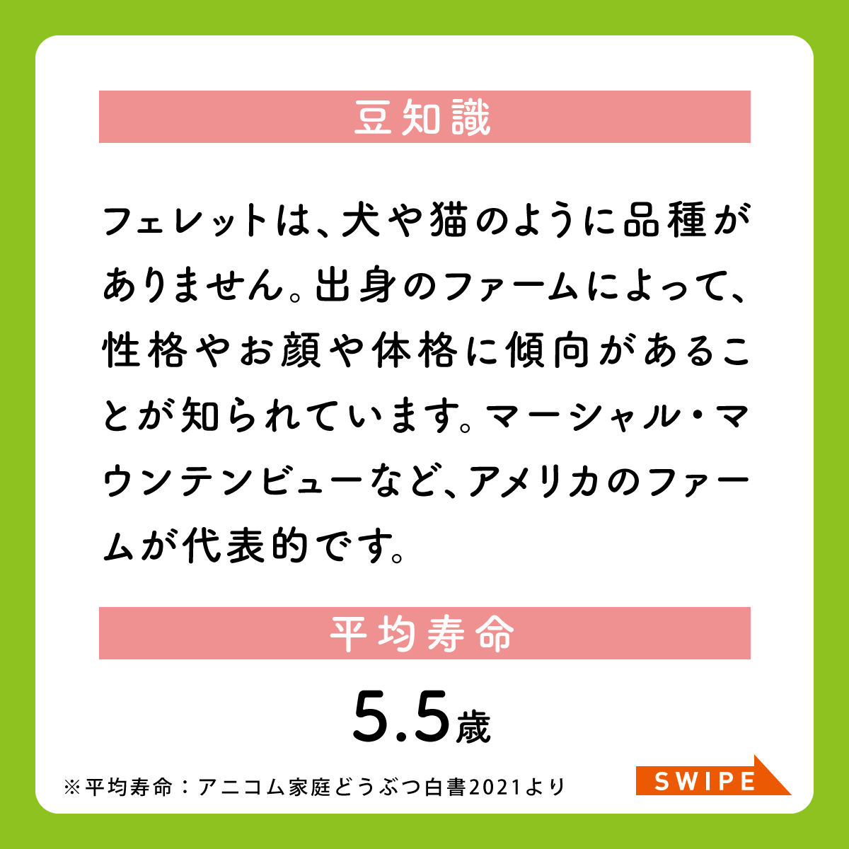 公式 アニコム ペット保険 だけじゃない Anicom Inc Twitter
