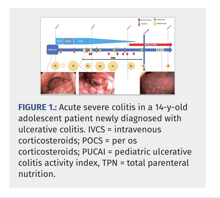 JPGN Reports tweet media