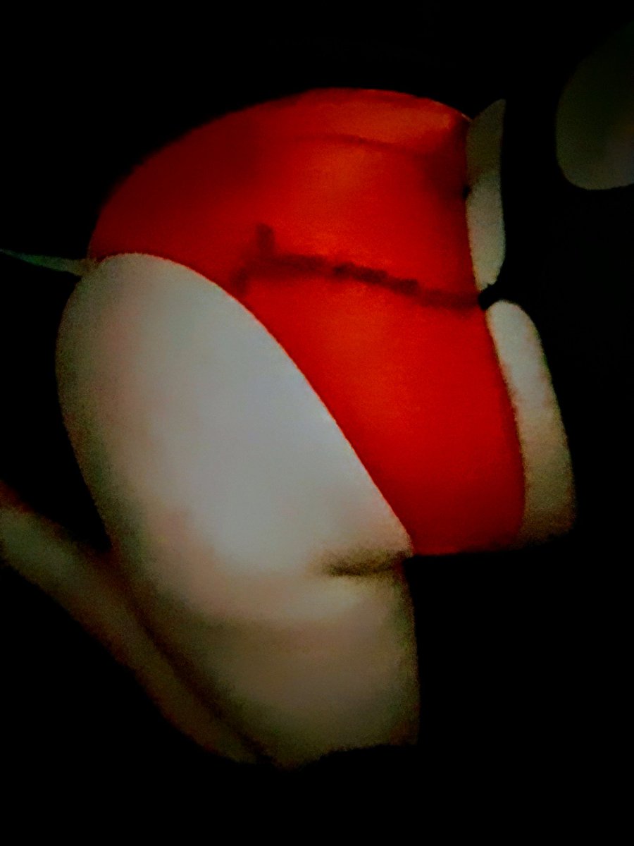 LacesLeatherand's tweet photo. The only way to relax after a long day is to have a wank. Would rather of had a slutty sub eat me out until i came over their face,but a vibrator did the job.
Took some pictures before my masturabtion session. 
https://t.co/0jTtO79bDO

#nsfwtwt #nsfw #nsfwmommy https://t.co/AKPsLCU6PQ