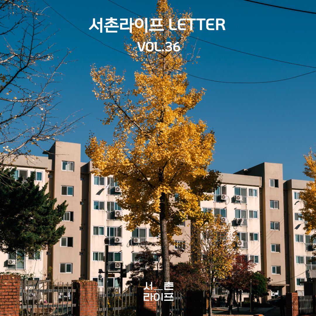 🕊서촌라이프 레터 VOL.36

- 서촌라이프 뉴스 
청운문학도서관
- 서라운드
새로온 이웃가게_언더커피투고
떠나간 이웃가게_까다디쉐프
베이커스퍼센트의 슈톨렌
오븐에빠진닭 점심 뷔페
-서밥모 추천
- POP 서촌
그라운드시소 서촌 <어노니머스 프로젝트> &amp; 사진 공모전

stib.ee/mpS6