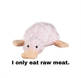 usage1kyears's tweet image. 