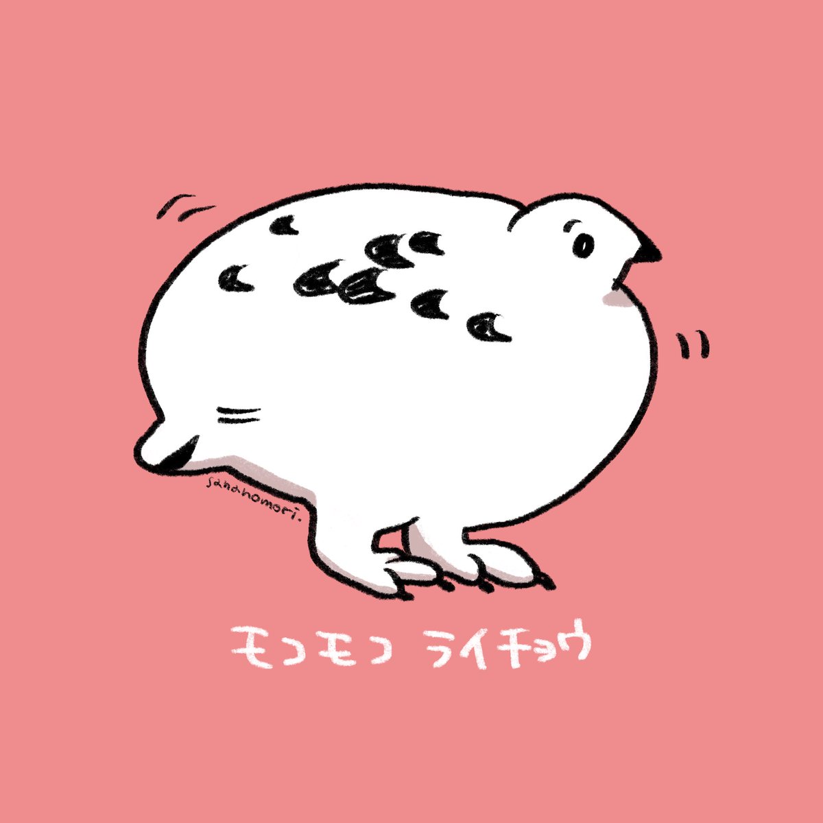 今見ているライチョウ 実はかさ増しされているのかも 雷鳥 想像以上によく膨らむ もふもふで可愛い Togetter