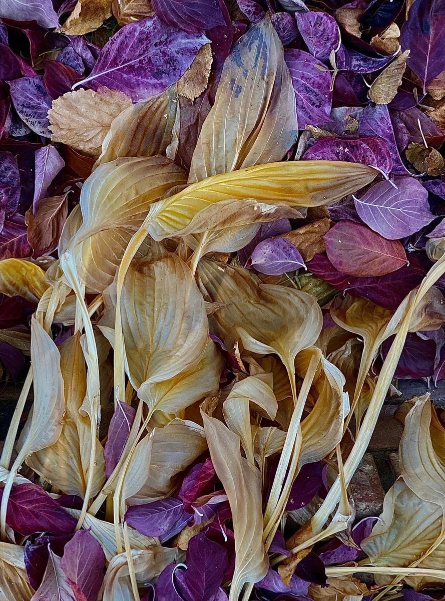 Mark LaLonde tweet media