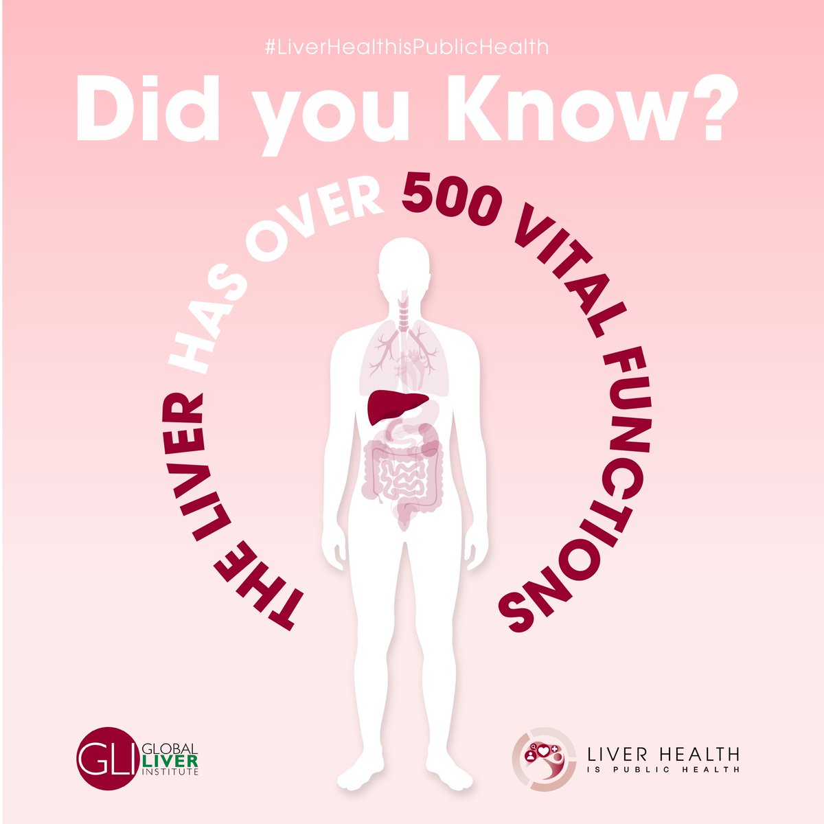 #DidYouknow that the #liver's critical functions include:

☠️Breaking down toxins
🩸Regulating blood clots
🍔Digesting fat

⬇️Learn how communities around the world protect this vital organ – &amp; where needs emerge.

📄bit.ly/3T3imPg

#LiverHealthisPublicHealth