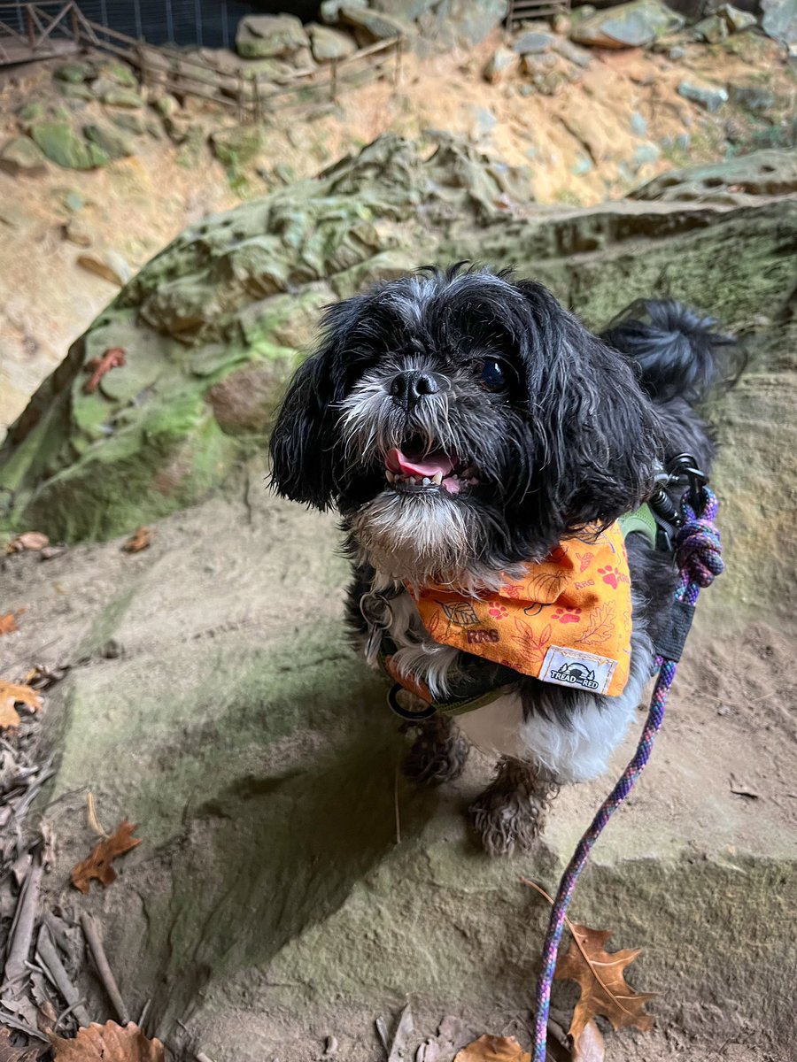 Yoga Retreat in the Gorge! 
•
#kentucky #rrg #redrivergorge #infiniteblissyoga