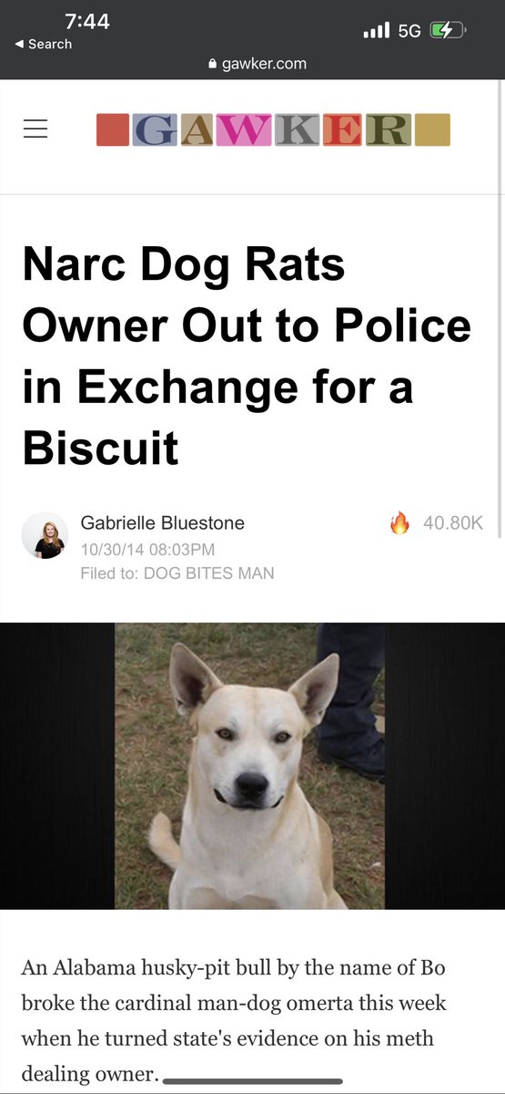 onlydabones's tweet photo. Every single dog owner “ my dog would never give me up to the police”
 
The Alabama husky pit named BO-BROKE https://t.co/Xo0utmaYl6