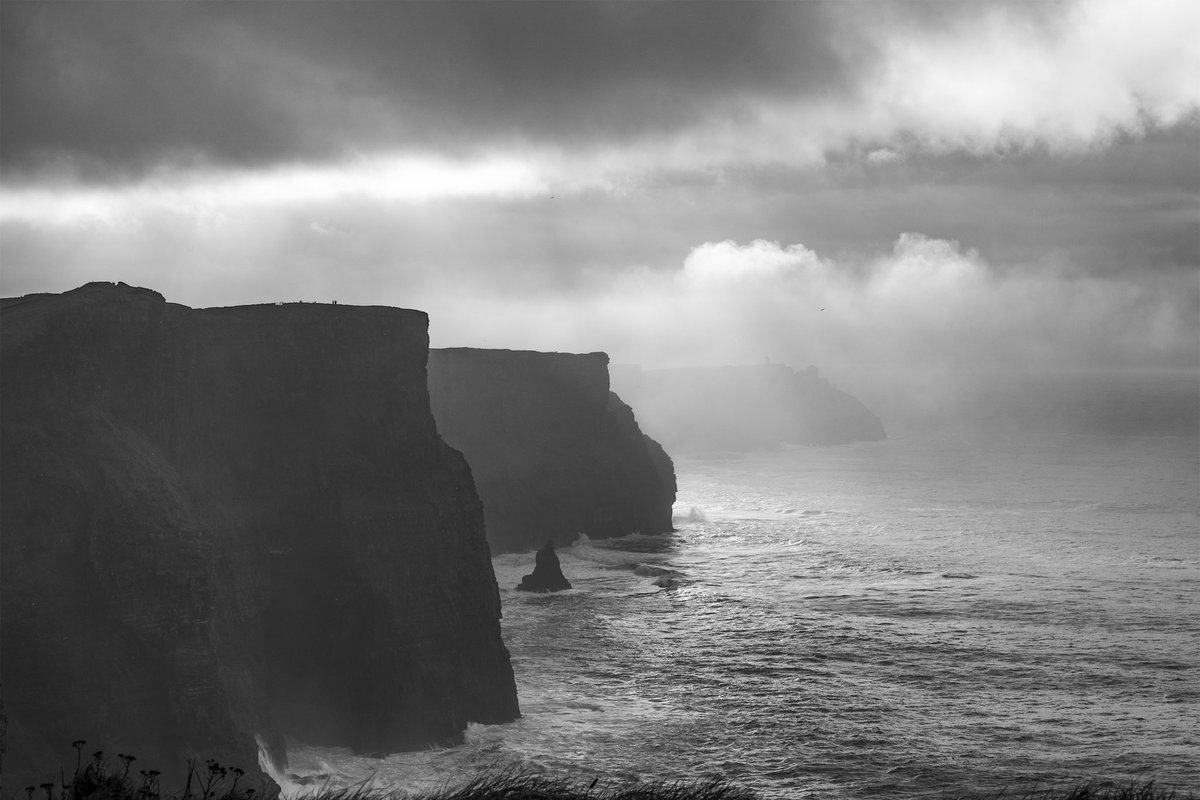 Marshall Scheuttle tweet media