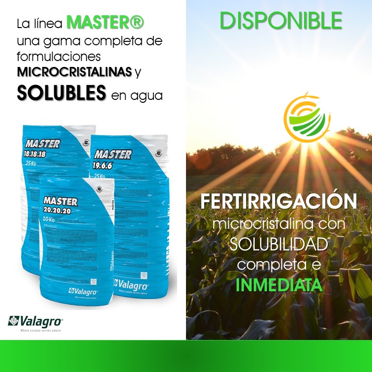 Insapro_sas's tweet photo. En Insapro tenemos la línea MASTER® que es una gama completa de formulaciones microcristalinas y solubles en agua, de solubilidad completa e inmediata #Valagro #Insapro #Fertilizantes #Enmiendas #Nutricampo #Agricultura #Colombia #MundialCatar2022 #Barranquilla #Atlantico https://t.co/ENDcXyveho