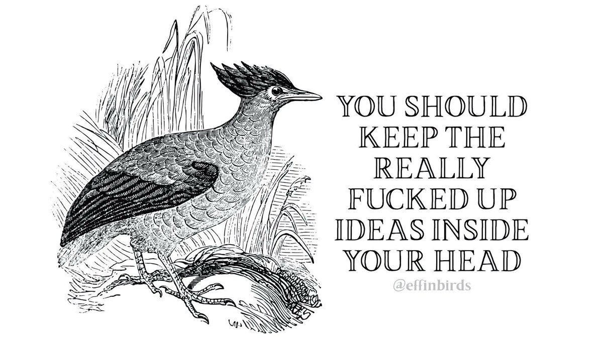 EffinBirds's tweet photo. https://t.co/nuGEUssEmA