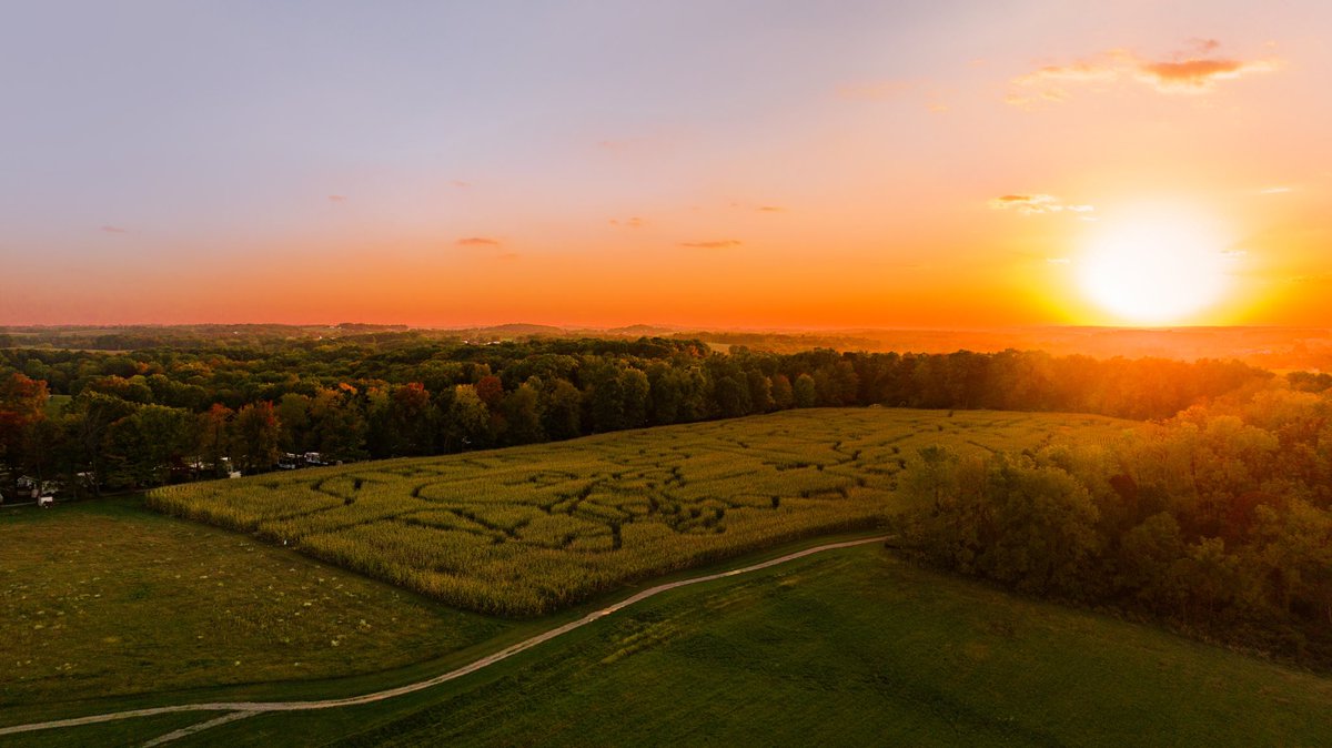 Golden hour, best hour 🌅🌽 #JellystonePark