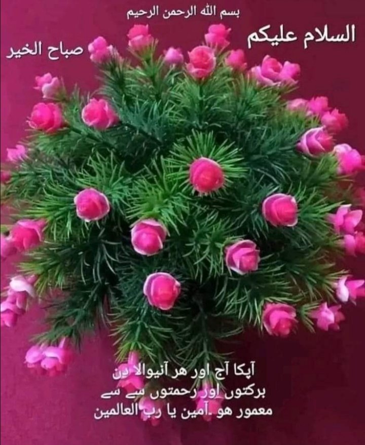 #خاتم_النبیین_محمّدﷺّ
#راہِ_عشق
نبی کریمﷺ کا فرمان عظمت نشان ہے،
کوئی شخص مومنِ کامل نہیں
 ہو سکتا یہاں تک کہ وہ اپنے بھائی
 کے لیے وہی پسند کرے جو اپنی
 ذات کے لیے پسند کرتا ہے“

السلام وعلیکم صبح بخیر🌷
#Dawateislami #AS_PG
<a href="/ghulam_yaseen/">Ghulam Yaseen</a> <a href="/Zch055/">Zainab chaudry</a>
@Rjptzadi @taniamahr_92