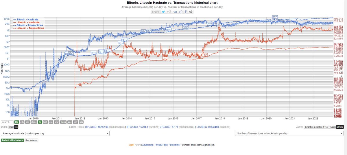 tactoken (Bruce Bates) tweet media