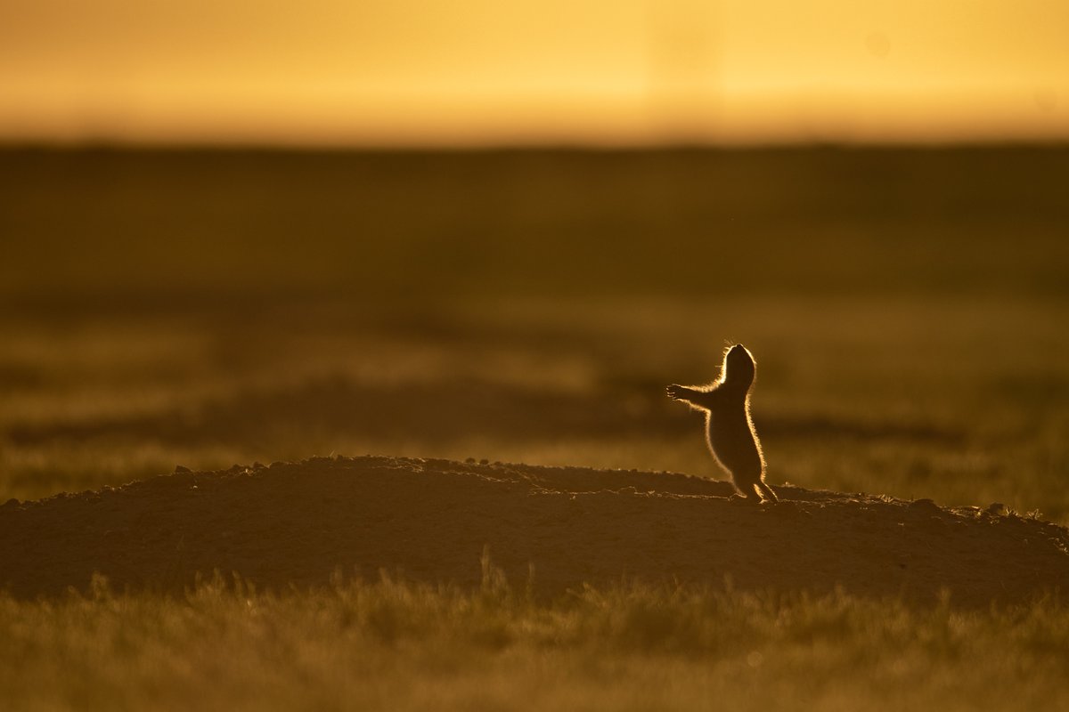 Girls Who Click tweet media