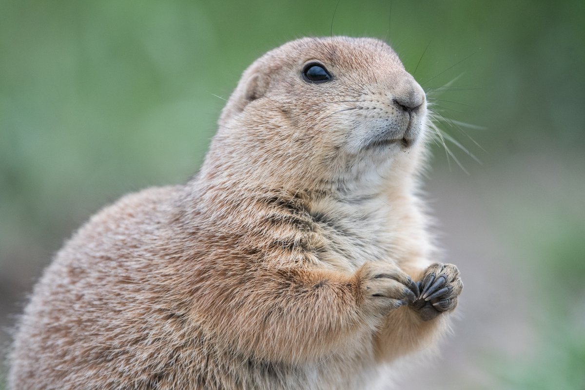 Girls Who Click tweet media