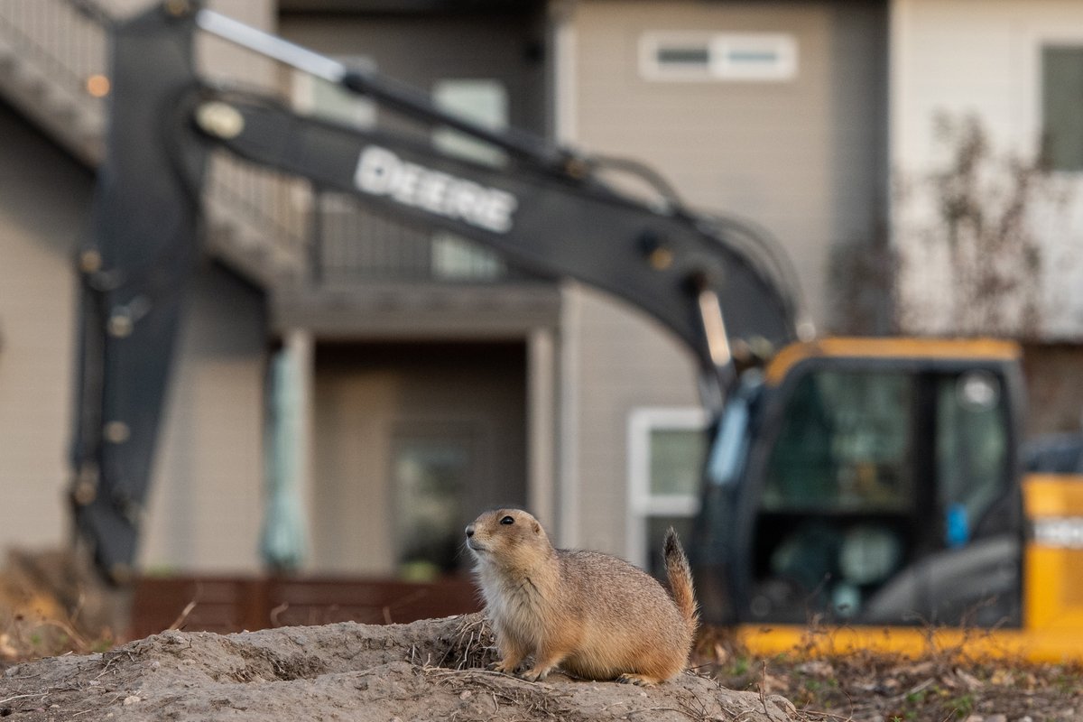 Girls Who Click tweet media