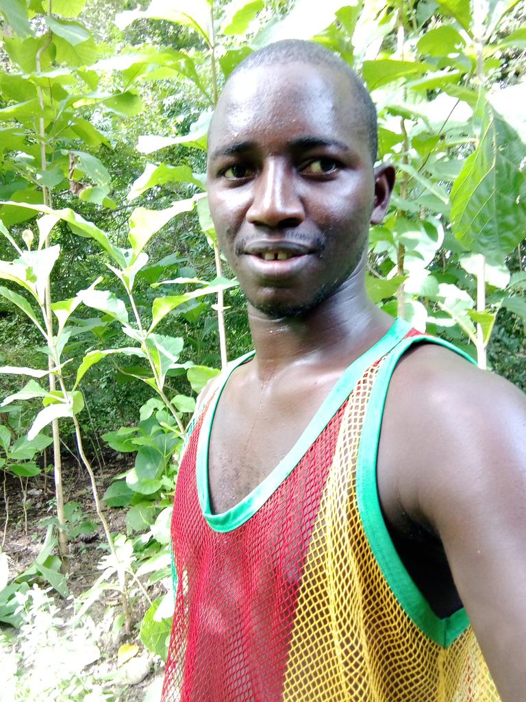 SagnaIdrissa's tweet photo. Casamance, une beauté naturelle.
Appréciez les merveilles du Sud du Sénégal. 
#Tourisme #casamance #Senegal #France #tweeter https://t.co/lqCASOruKY