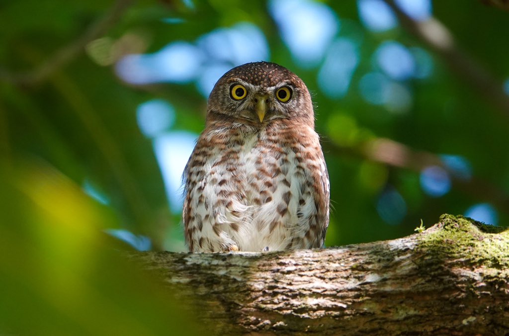 Daniel Weldon tweet media