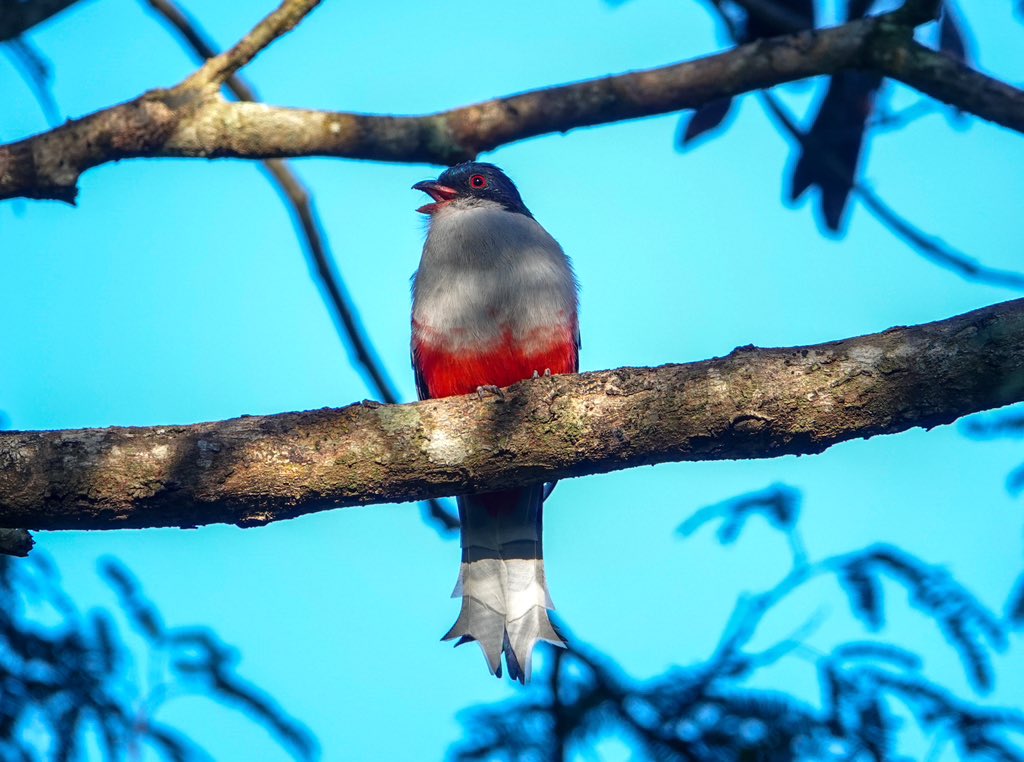 Daniel Weldon tweet media