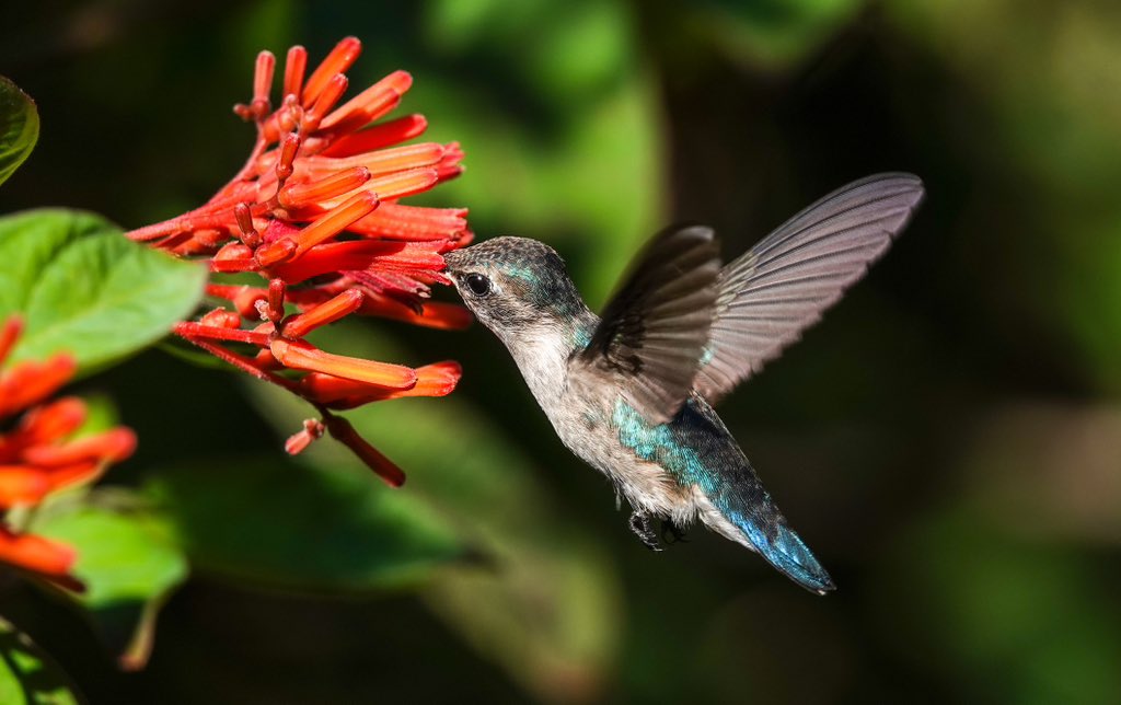 Daniel Weldon tweet media