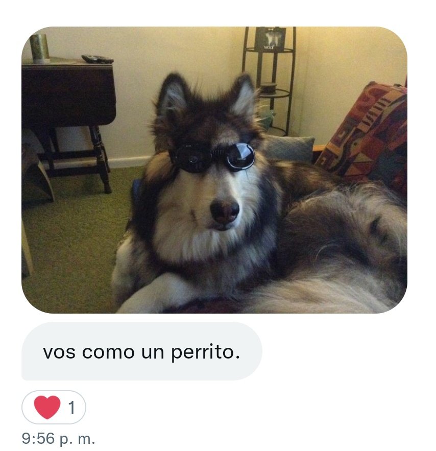 literalmente yo con los lentes q uso siempre