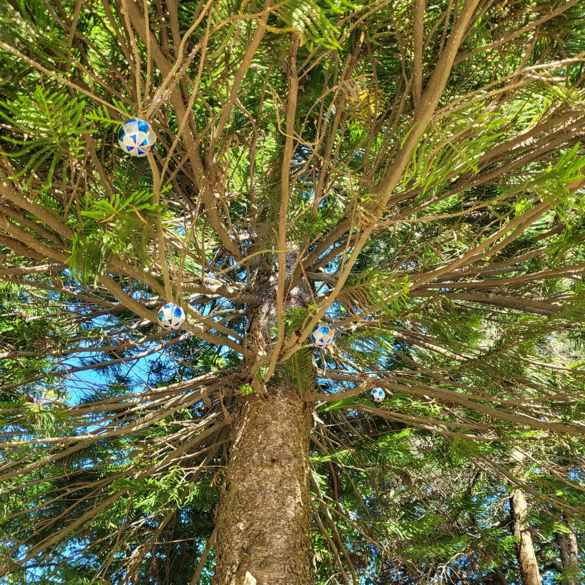 ¡Hola Sr. Árbol!  A veces hay actividades pequeñitas y tan orgánicas que sacan nuestr<a href="/s/">『S』</a> niñ@s de adentrito.

Decorando a Sr. Árbol jeje  ✅️