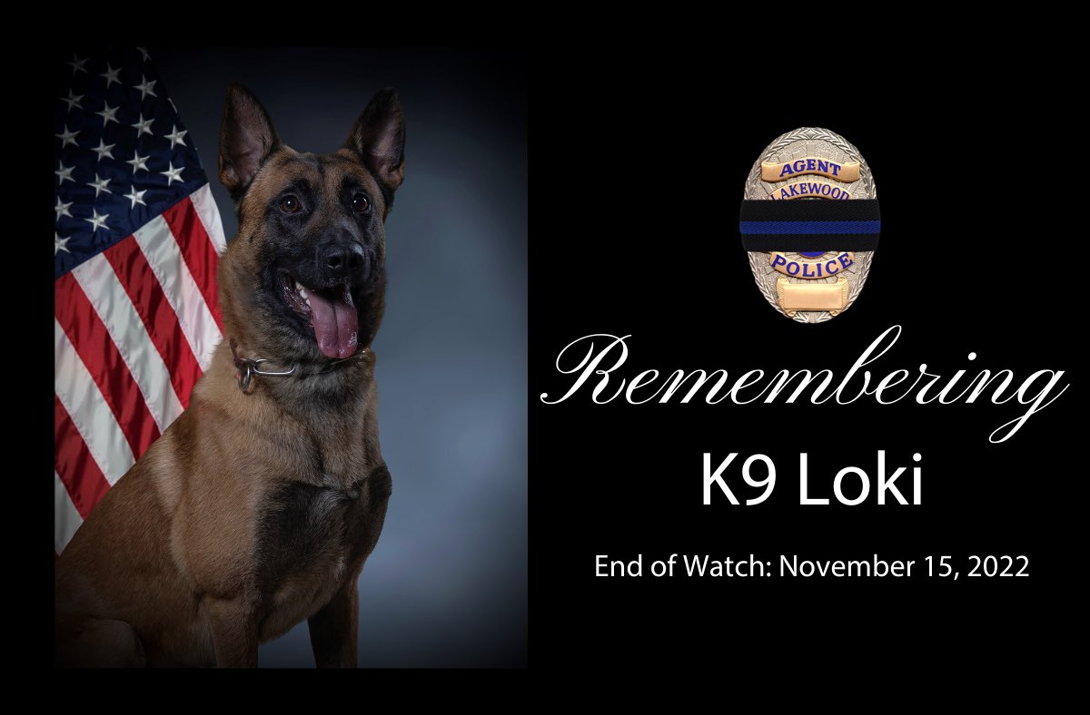 Lakewood Police Dept. tweet media