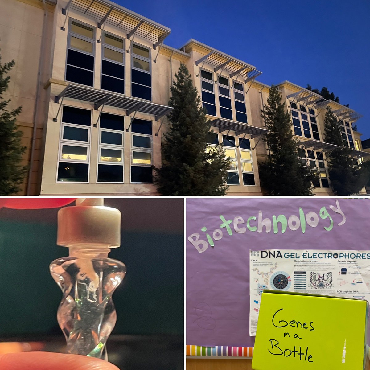 Damon_BioRad's tweet photo. Just gave a career talk and helped students isolate their own DNA to take home in a necklace @Life_Academy  in #oakalnd. Big thanks to Omar, the student that helped organize the after school event and Mr J for letting us use his room. #ousd #biotecheducation @BioRadEducation https://t.co/jYdxC2NnVx