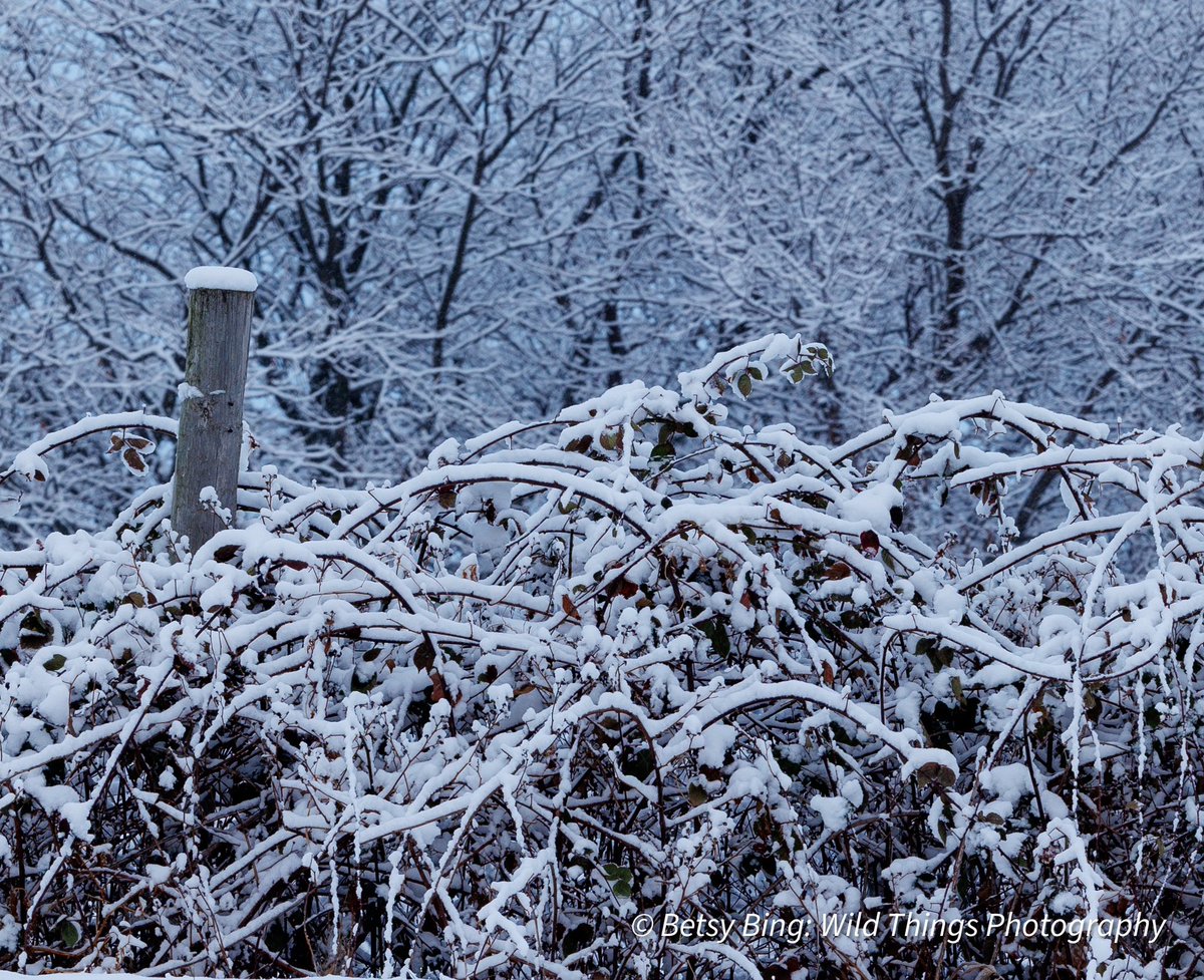 A beautiful, snowy  day in the county ..