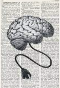 ecalixto's tweet photo. El cerebro NO tiene capacidad para mantenerse siempre alerta, las neuronas también necesitan "desconectarse" durante algunos momentos. Quedarse en blanco, distraerse: es sano; esto mantiene una adecuada salud mental. 

#NeuroTuit https://t.co/j3TCcHNwRt
