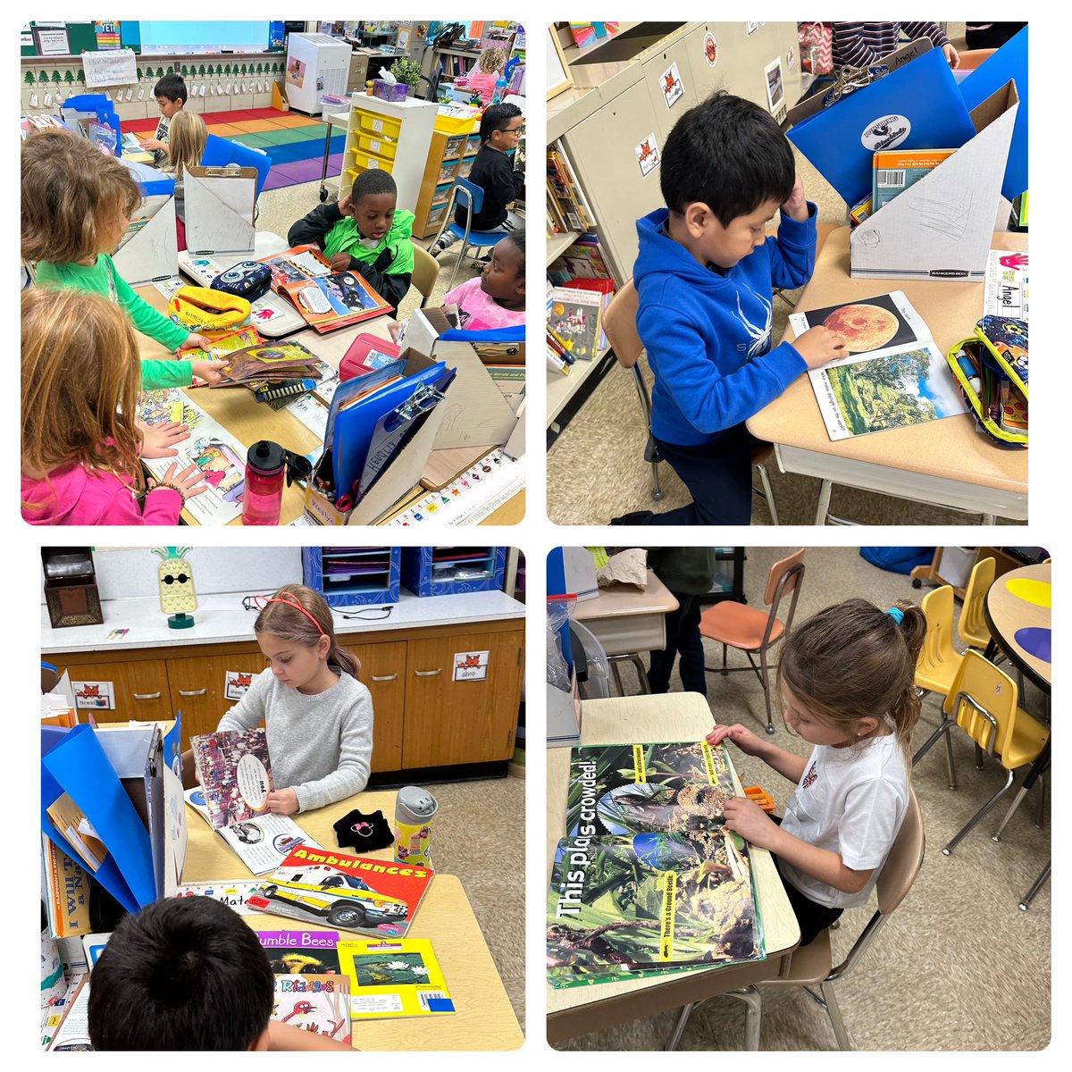 Rachel Noto tweet media