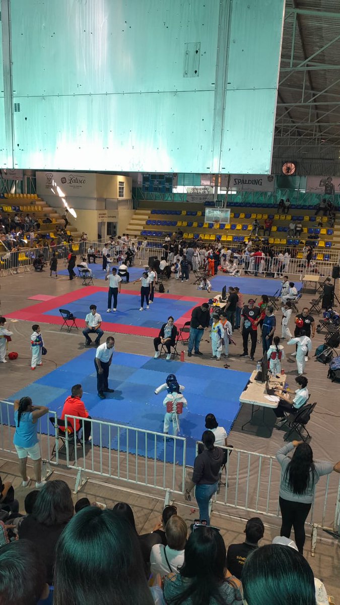 daygnzl's tweet photo. Go Diego Go 🥋🤼‍♂️ https://t.co/VPVvITNpmC