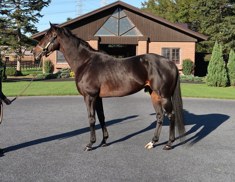 來参黎 Keiblack Twitter