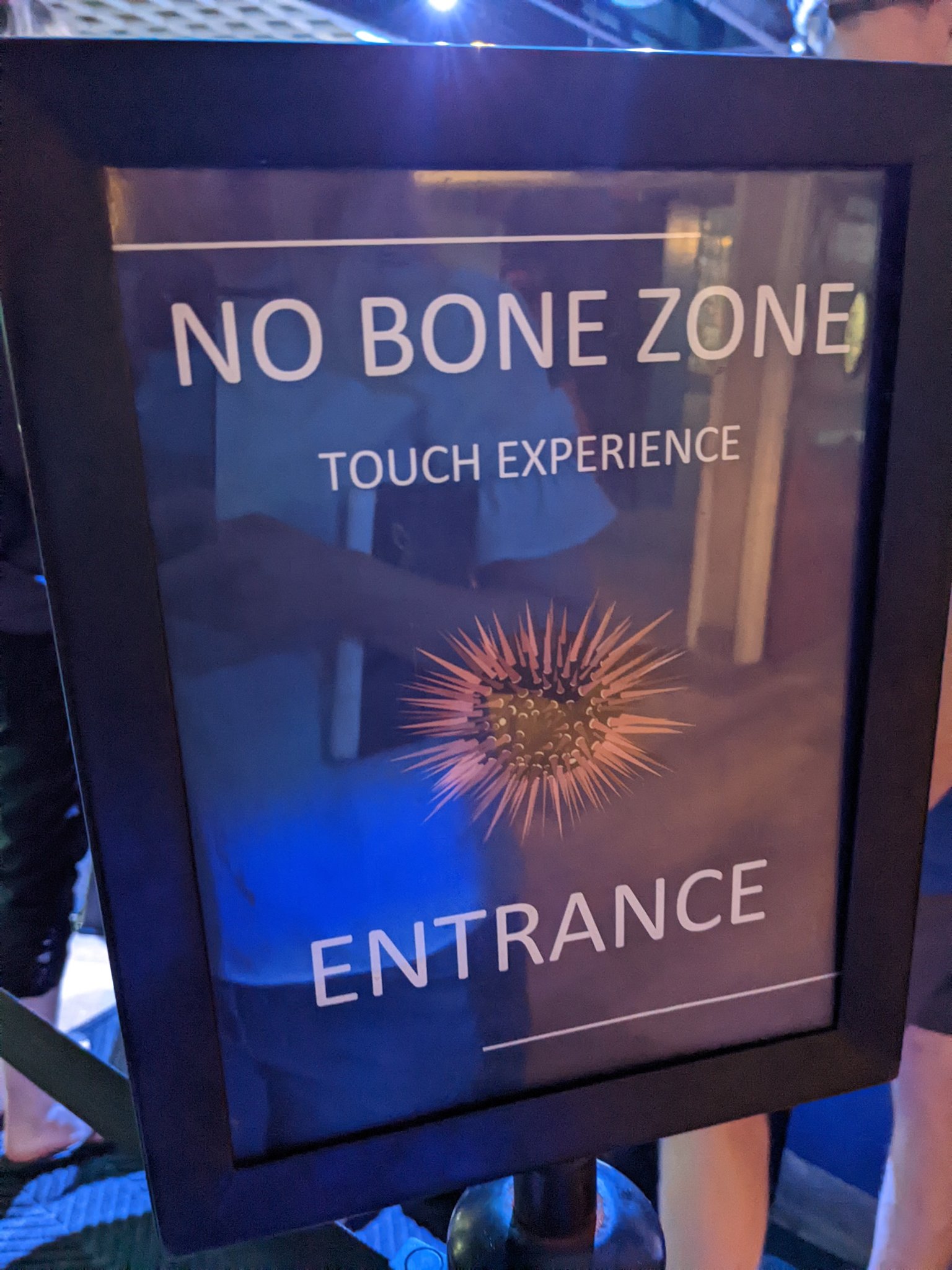 Felecia Angelle on Twitter 