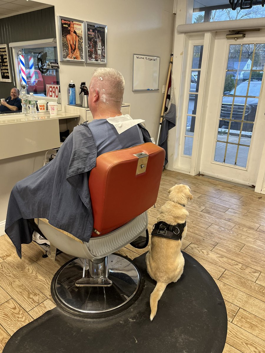 Cameo loves to stand guard while I get my haircut. Actually he patiently waits until I’m done.  Josh will then take the blow dryer out with a comb and brush him. He’s such a diva.