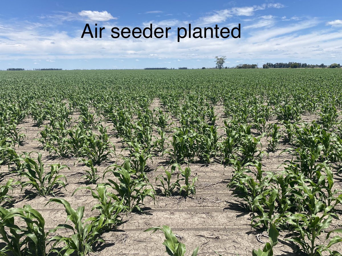 Chris Gillam tweet media