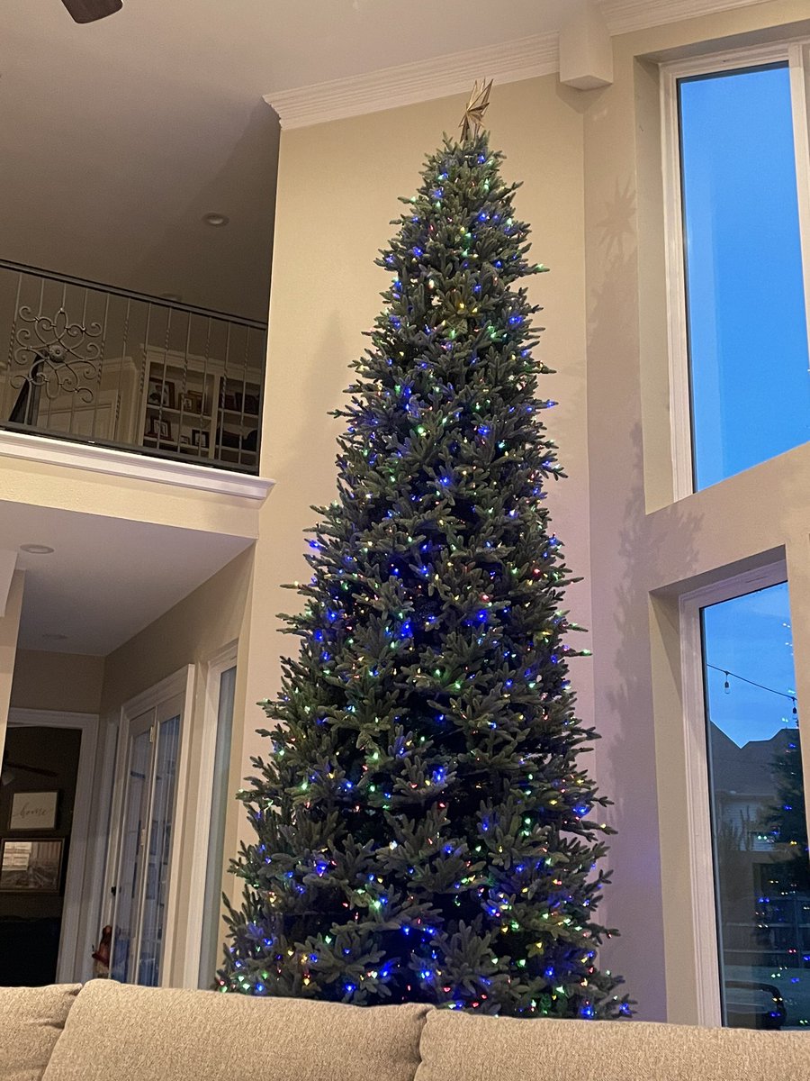 lackeymustang's tweet photo. Day 15 of thankfulness….that the simplest things can bring such happiness. I love sitting on the couch, curled up with my family, with our Christmas tree shining away!!! #lessisalwaysmore https://t.co/yM8FIMKzUg