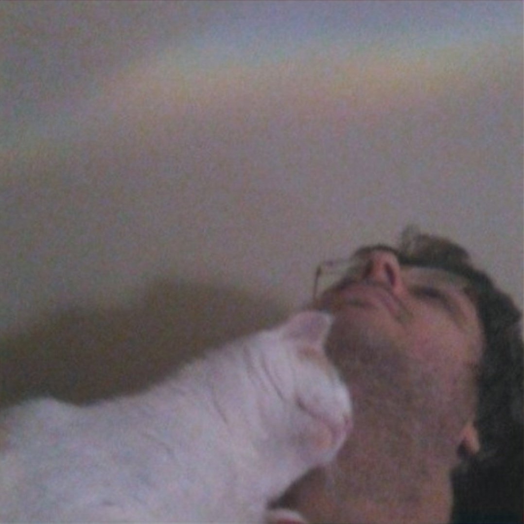 lv99redmage tweet media