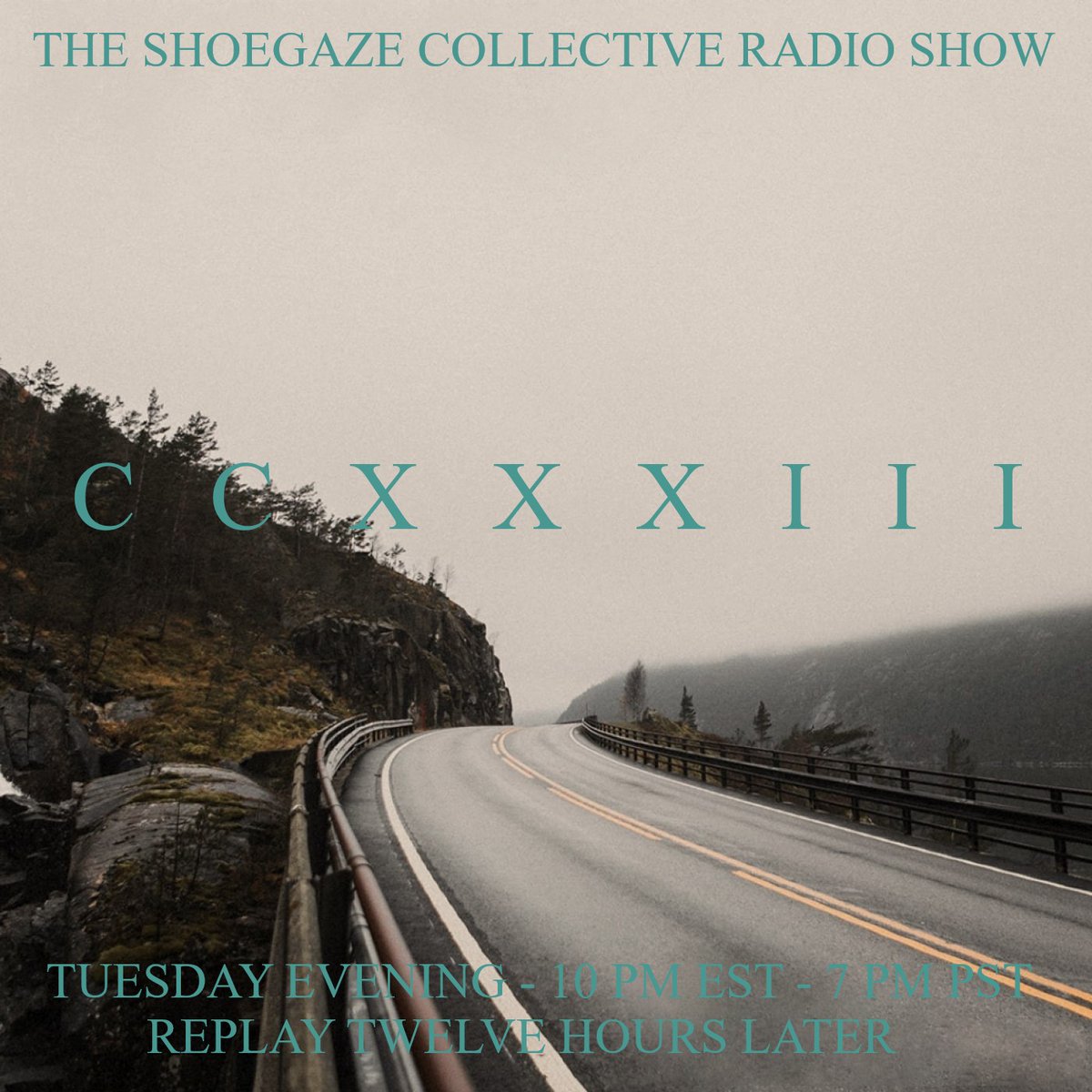 TShoegazeCollective tweet media