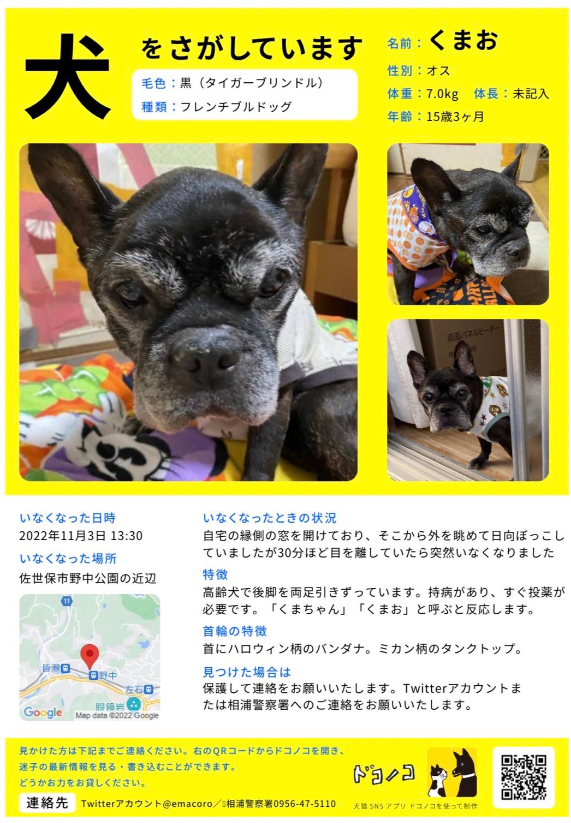 はるまん💮お宅のシッポちゃん描かせて頂きます😃 tweet media