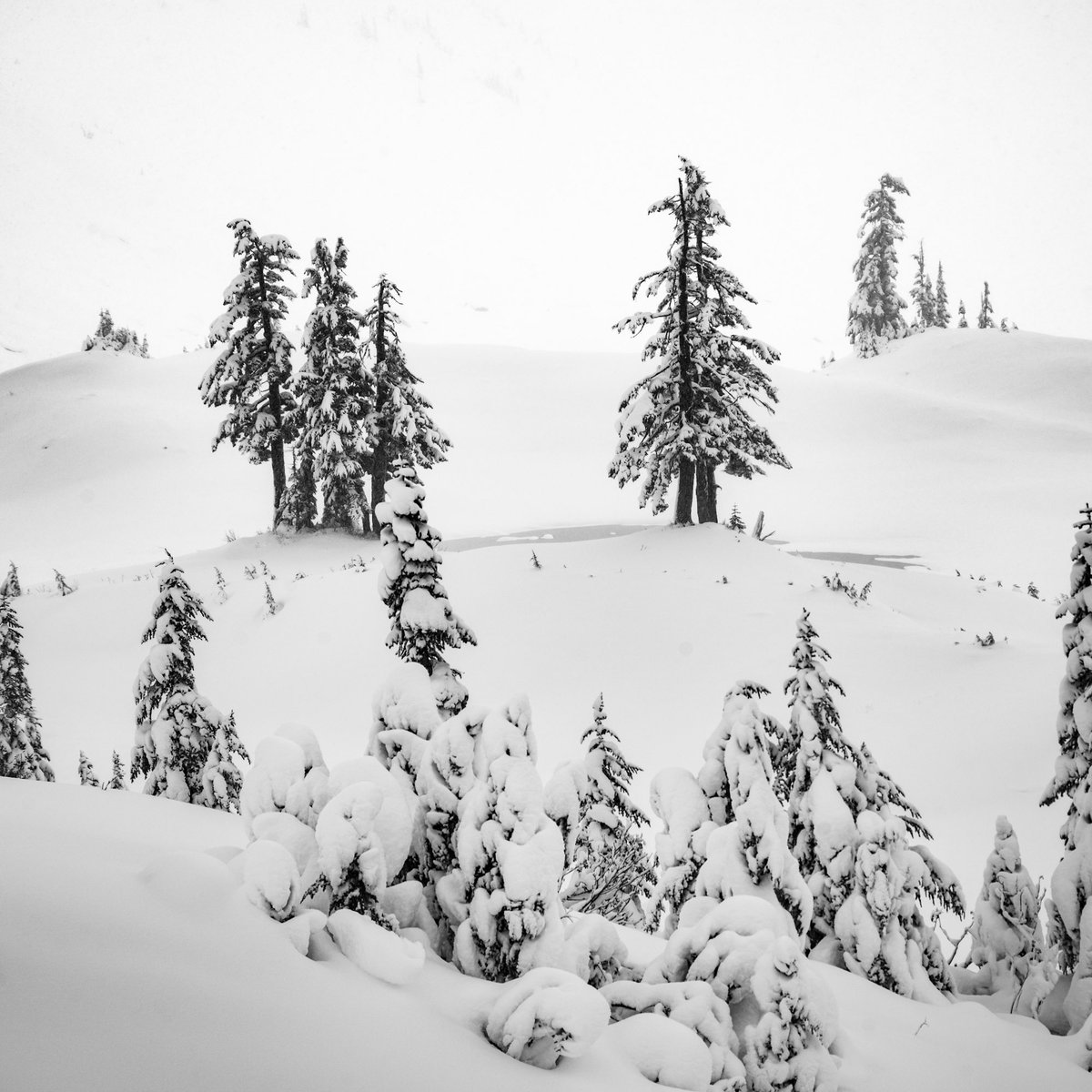 @MrWhoCapture #mountains #winter #photography #trees