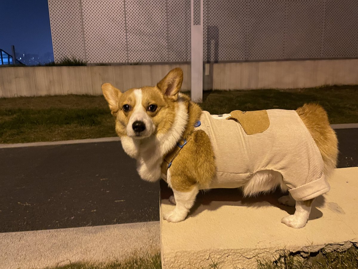 TeamWE_Official tweet media