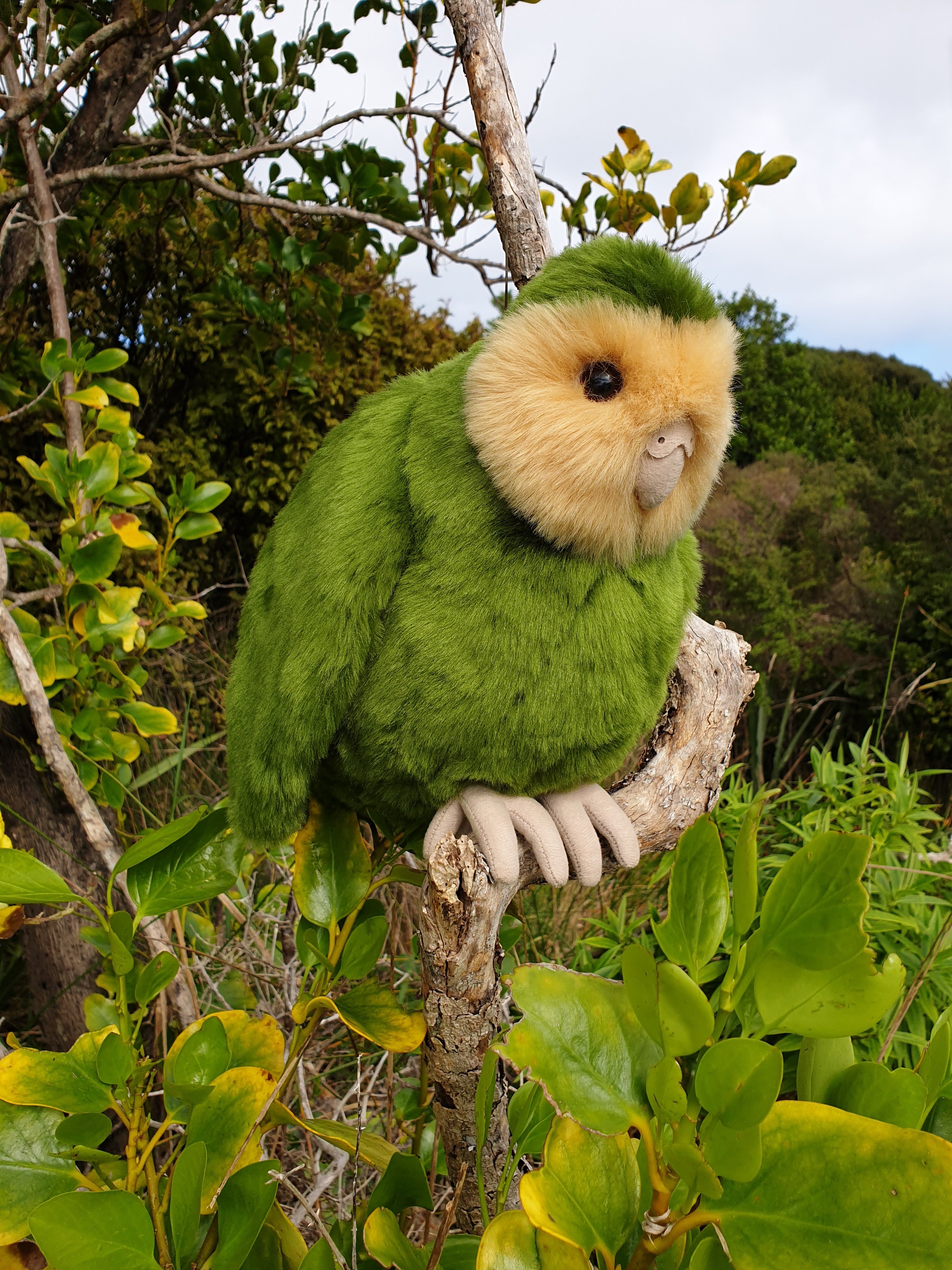 Kakapo toy online